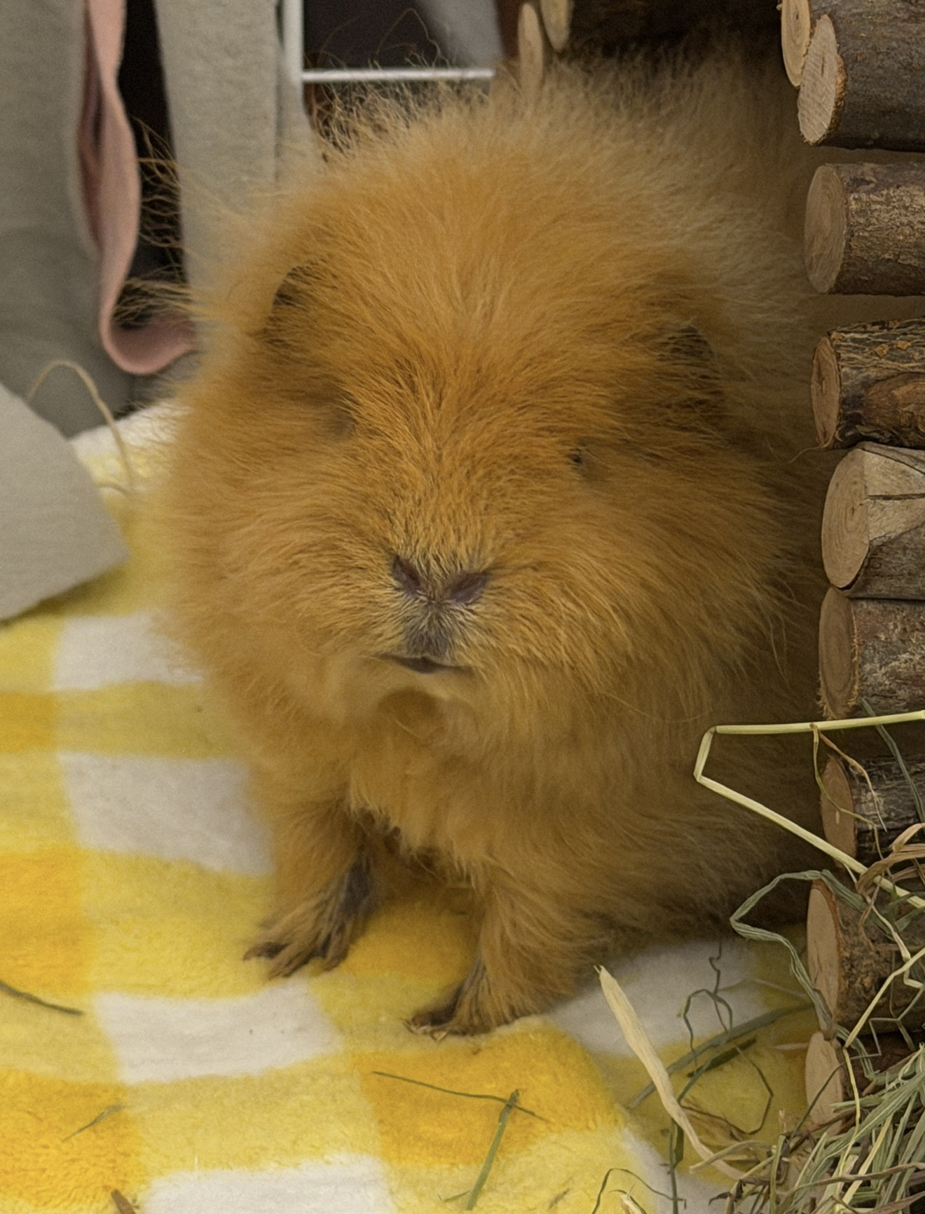 Profile of Ted